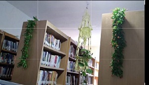 شاداب سازی کتابخانه